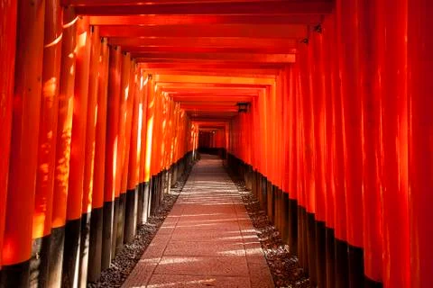 Walkway between torii gates Stock Photos