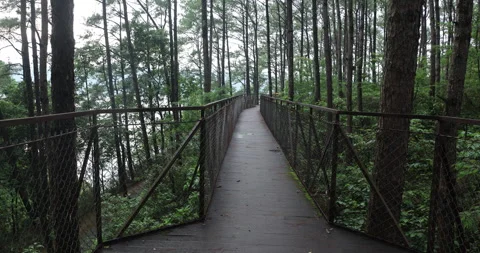 Walkway Bridge with railings Stock-Footage 335639813