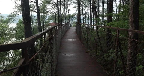 Walkway Bridge with railings Stock-Footage 335640094