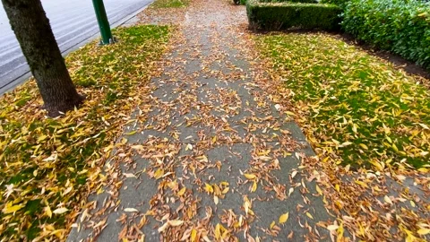 Walkway in the City Stock Footage 140561551