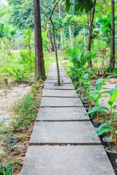 Walkway in the forest Stock Photos