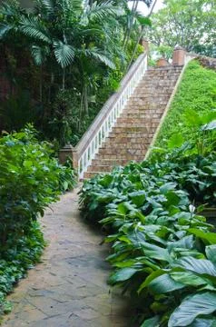 Walkway in the garden Foto stock