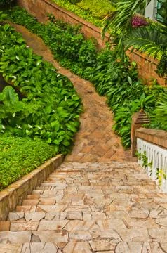Walkway in the garden Stock Photos