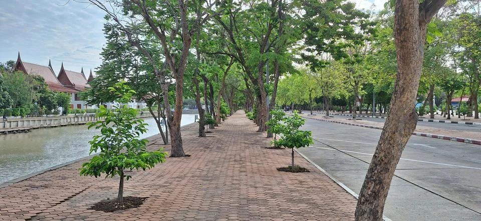The walkway is lined Stock Photos
