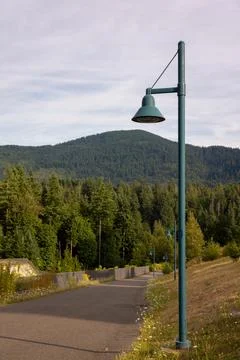 A walkway lined with streetlights 库存照片