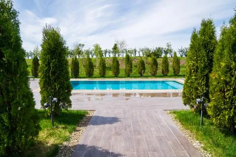 A walkway lined with tiles to the pool between the trees. Stock Photos
