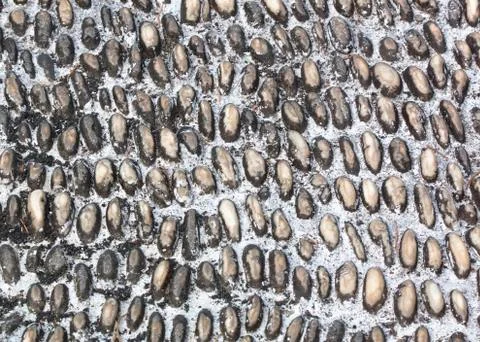 Walkway made Stock Photos