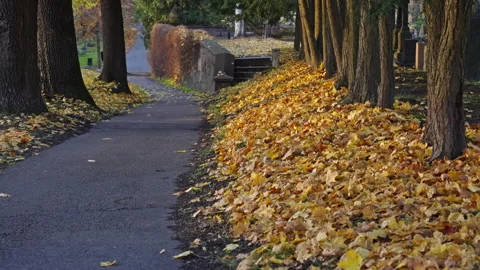 Walkway at an old cemetery during fall. Filmed in slow motion. Version 1 Stock Footage 290173700