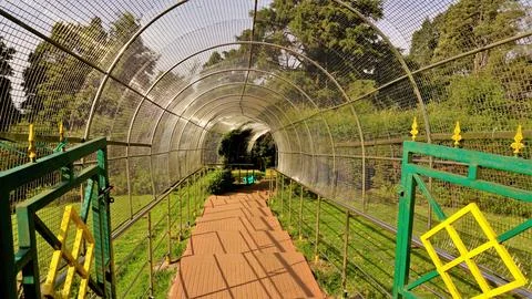 Walkway or path to the view points at the Top of Doddabetta peak from teles.. Stock Photos