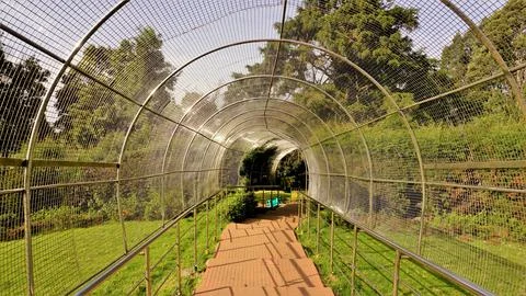 Walkway or path to the view points at the Top of Doddabetta peak from teles.. Stock Photos