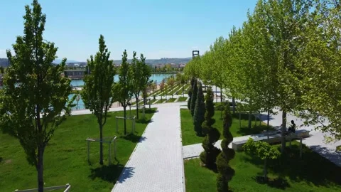 Walkway in a Park between Trees Stock Footage 247956147