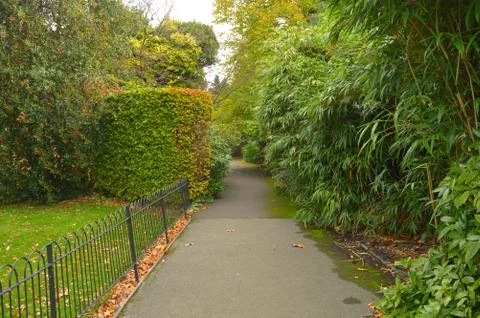 Walkway in a park with different plants on both side Stock Photos