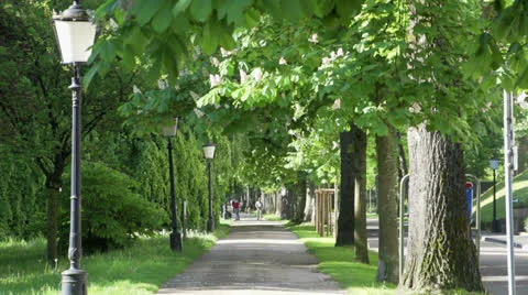 Walkway in the park Stock Footage 24578192