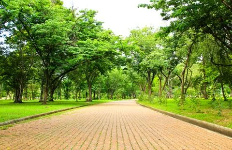 Walkway in the park Stock Photos