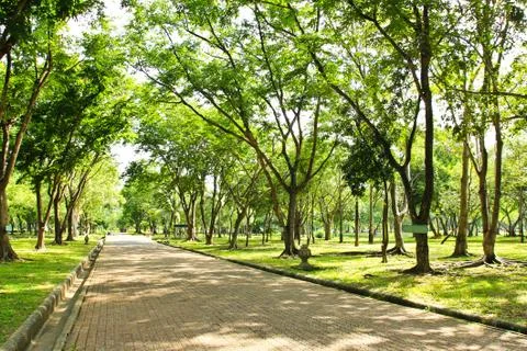 Walkway in the park Stock Photos