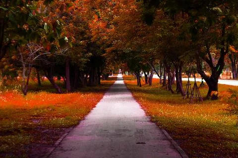 Walkway park Stock Photos