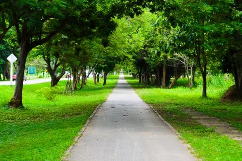 Walkway park Stock Photos