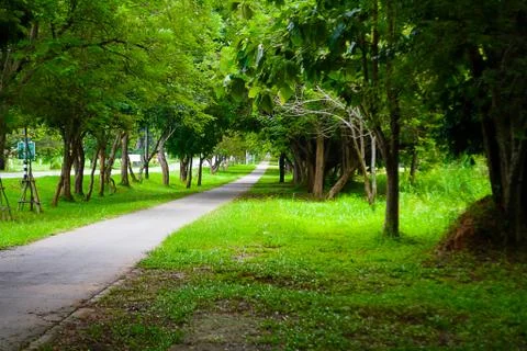 Walkway park Stock Photos