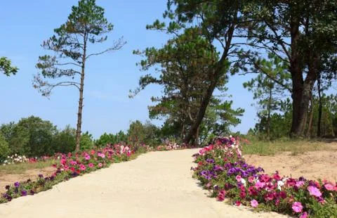 Walkway in the park Stock Photos