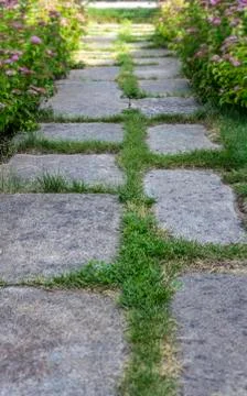 Walkway in the park Stock Photos