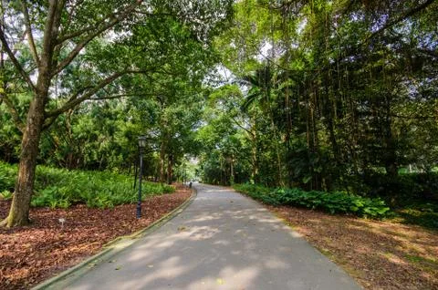 Walkway path through the garden Stock Photos