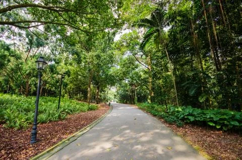 Walkway path through the garden Stockfoto's