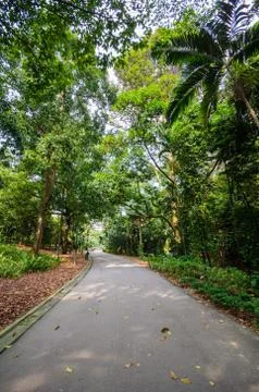 Walkway path through the garden Stock-Fotos