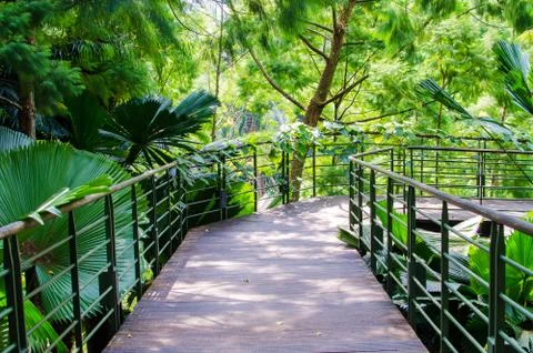 Walkway path through the garden Foto stock