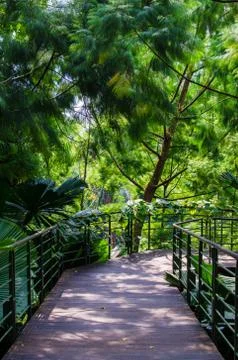 Walkway path through the garden Stock Photos