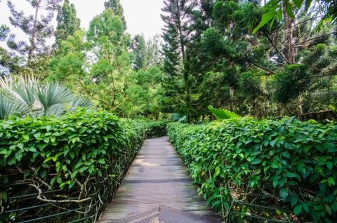 Walkway path through the garden Foto stock