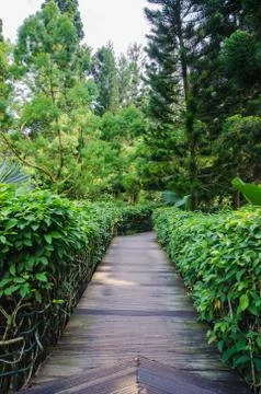 Walkway path through the garden Stock Photos