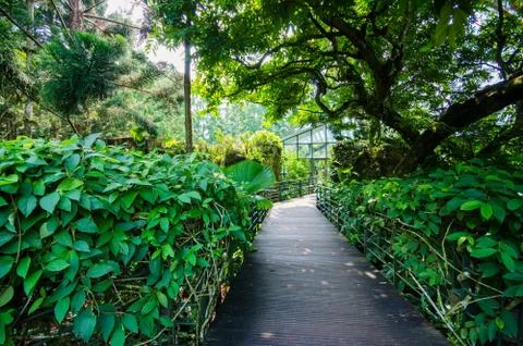 Walkway path through the garden Foto stock