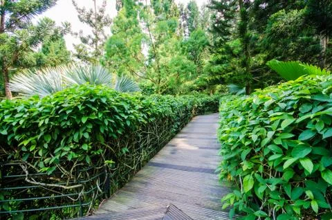 Walkway path through the garden Foto stock