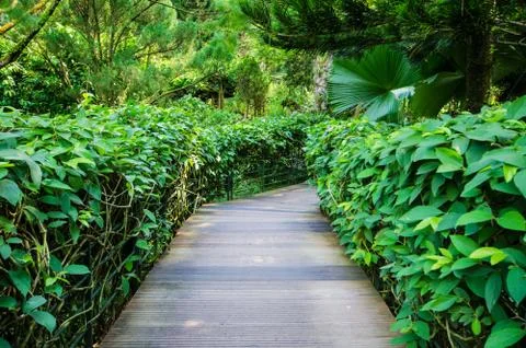 Walkway path through the garden Foto stock