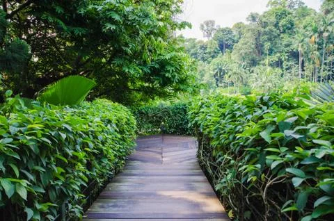 Walkway path through the garden Foto stock
