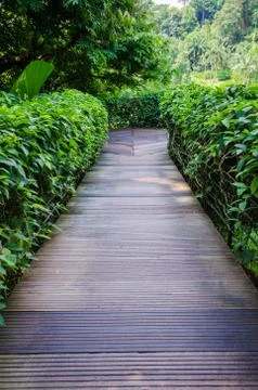 Walkway path through the garden 스톡 사진