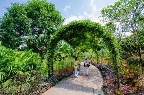 Walkway path through the garden Stockfoto's