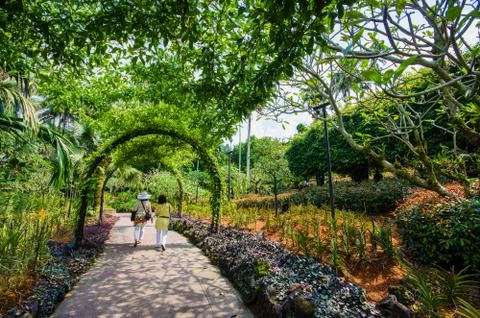 Walkway path through the garden Stock-Fotos