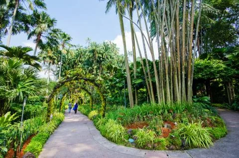 Walkway path through the garden Stock-Fotos