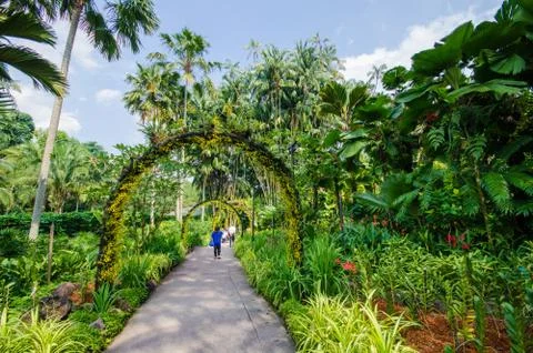 Walkway path through the garden Foto stock