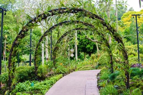 Walkway path through the garden Stock Photos