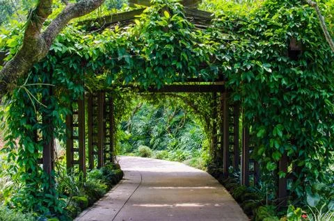 Walkway path through the garden Foto stock