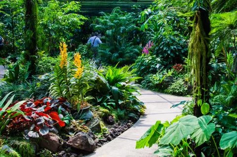 Walkway path through the garden 스톡 사진