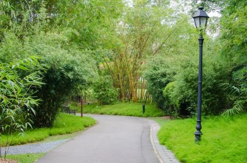 Walkway path through the garden Foto stock