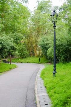 Walkway path through the garden Foto stock