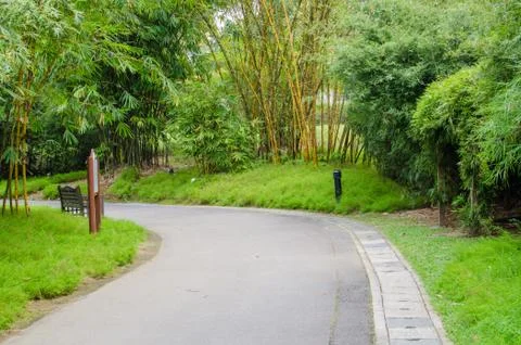 Walkway path through the garden Stock-Fotos