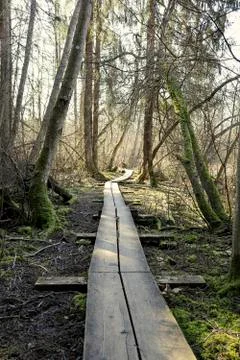 Walkway Stock Photos