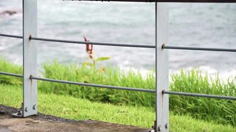 Walkway railing by the sea Video stock 131282151