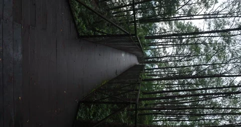 Walkway with railings 库存影片 335639924