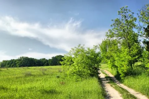 Walkway on a summer meadow Stock Photos